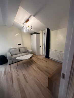 X2 apartment Bakuriani
